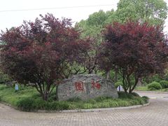 -上海海湾国家森林公园