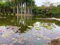 -中国科学院西双版纳热带植物园