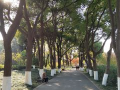 -圩墩遗址公园