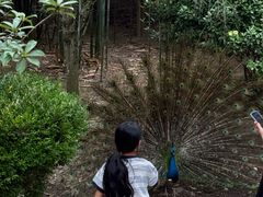 -贵州森林野生动物园