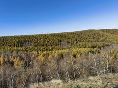 -塞罕坝国家级自然保护区