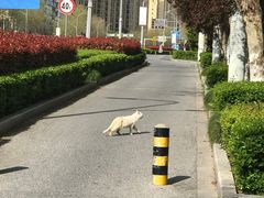 -苏州一碗面(鲈乡南路店)