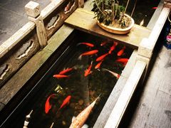 -唔呶喔哩酒家(生产街店)