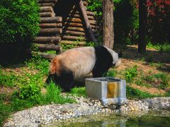 -石家庄市动物园