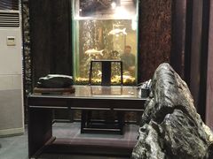 -浩运·海鲜青岛菜·海胆水饺(石老人店)