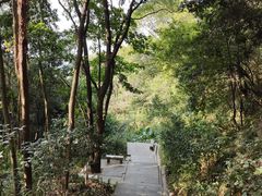 -广州市帽峰山景区