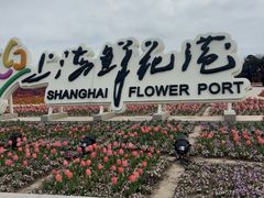-上海鲜花港