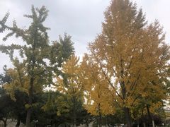 -建国门(地铁站)