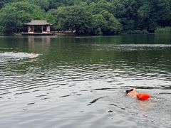 -紫霞湖公园