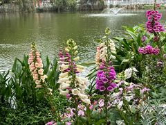 -人民公园(罗湖区)