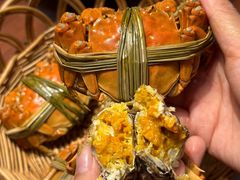 -蟹天蟹地农家菜·阳澄湖大闸蟹(浅水湾店)