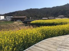 -南北湖风景区