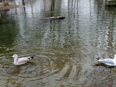 -祥源·阜阳生态乐园