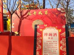 -北京石景山游乐园