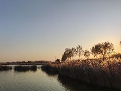 -南大港湿地风景区