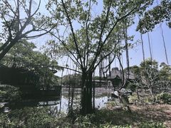 -粤晖园