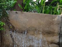 -九龙公园