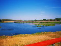 -蒲河岛湿地公园