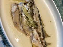 -花城苑广府菜(侨鑫店)
