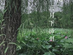 -扬州市茱萸湾风景区