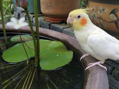 -雨林宠物医院 非犬猫异宠专科