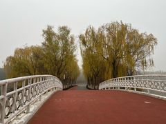 -大兴滨河森林公园