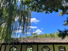 -团结湖公园