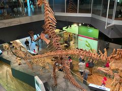 -墨尔本博物馆(Melbourne Museum)