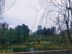 -四海公园(南山区)