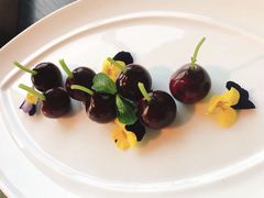 -广州柏悦酒店·悦景轩·粤菜餐厅