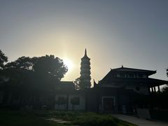 -徽园