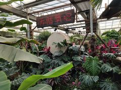 -呀路古热带植物园