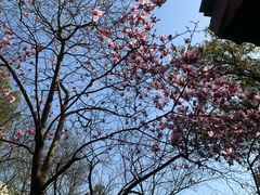 -杭州半山国家森林公园