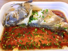 石斑鱼-盒马鲜生(悦峰店)