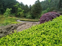 -铁山坪森林公园