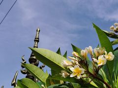 -西双版纳傣族园