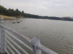 -美兰湖景区