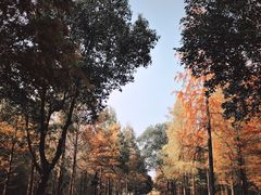 -西溪国家湿地公园