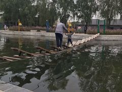 -北戴河集发农业梦想王国