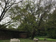 -南国桃园旅游度假区