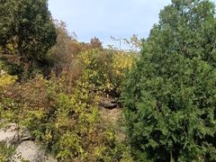 -北京十三陵国家森林公园蟒山景区