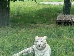 -齐齐哈尔龙沙动植物园