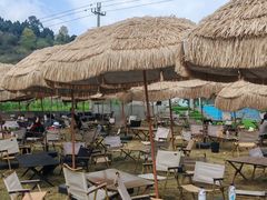 -桃源山庄·水蜜桃采摘·柴火鸡·烧烤团建(龙泉山店)