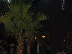 -Supine Bistro溯泮餐厅