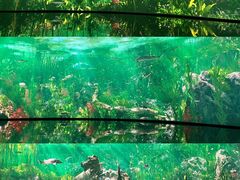 -中国湿地博物馆