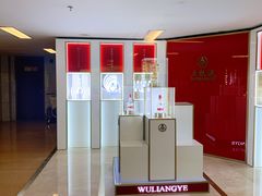 -郑州新郑国际机场T2航站楼-贵宾厅B区