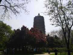 -玲珑塔公园