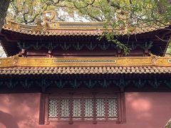 -普陀山风景名胜区-法雨禅寺