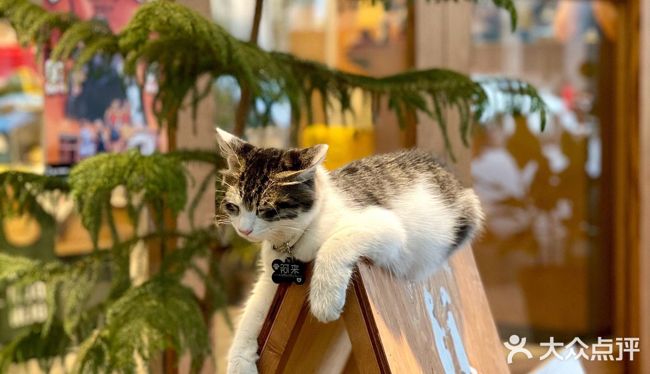 二条商店｜南京日杂｜生活治愈向