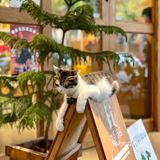 二条商店｜南京日杂｜生活治愈向